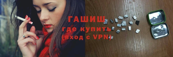гашик Алексин
