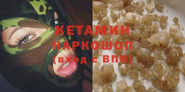 гашик Алексин