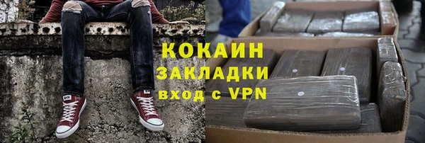 гашик Алексин
