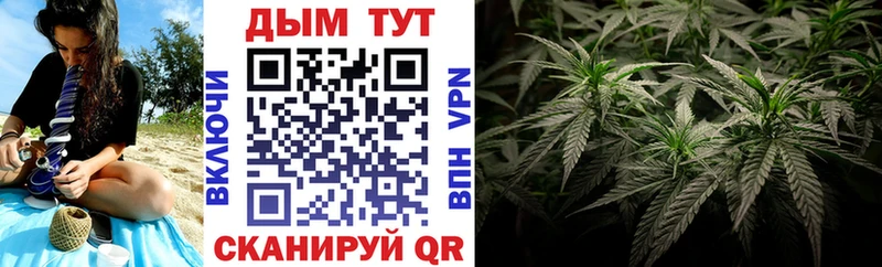 Конопля OG Kush Елизаветинская